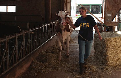 The Breeze  FFA Competitions-What is it all about?